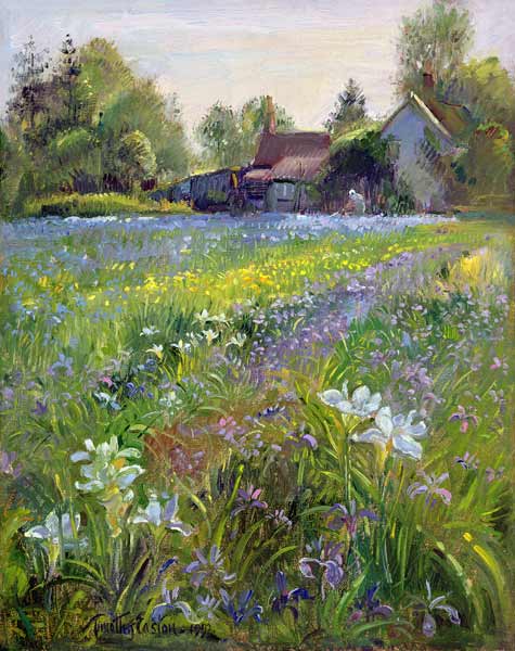 Dwarf Irises and Cottage, 1993  from Timothy  Easton
