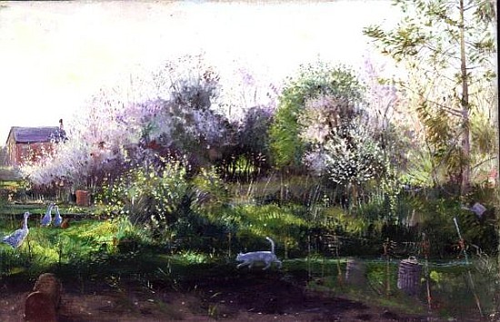Geese Stalker  from Timothy  Easton