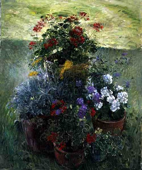Shaded Pots (oil on canvas)  from Timothy  Easton