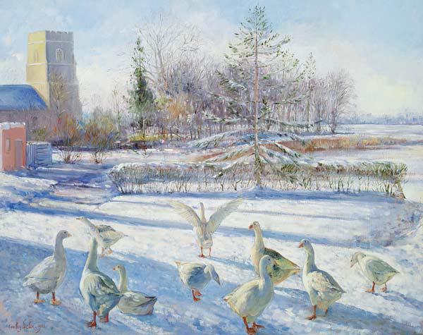 Snow Geese, Winter Morning 