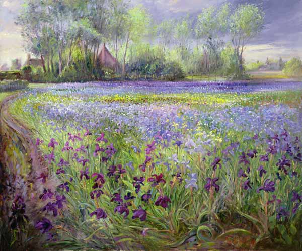 Trackway past the Iris Field, 1991  from Timothy  Easton