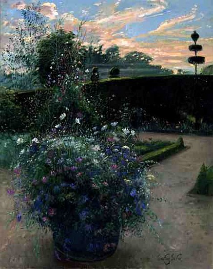 White Daisies Against the Sweetpea Trellis (oil on canvas)  from Timothy  Easton