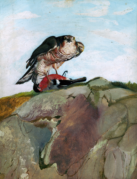 Sparrowhawk which has beaten a bullfinch. from Tivadar Csontváry-Kosztka