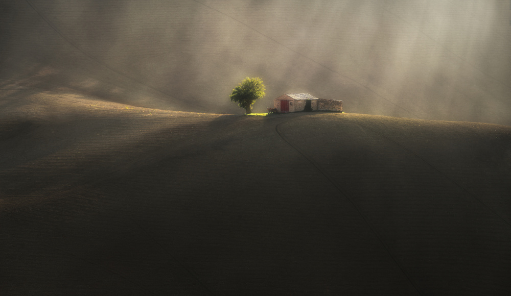 On the rolling hills from Tomasz Rojek