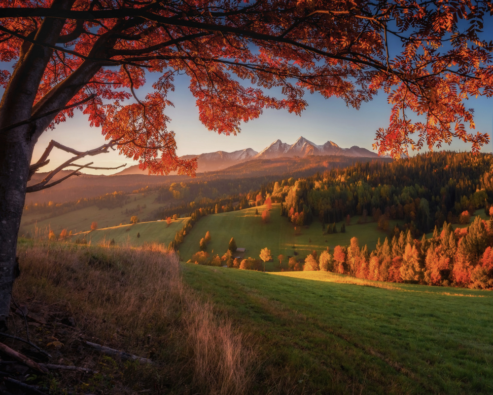 Autumn under Tatra Mountains from TomaszOryszczakPhotography