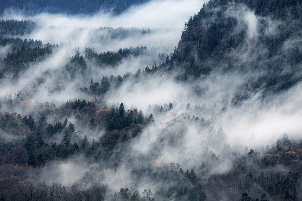 A valley in the fog from Tomomi Yamada