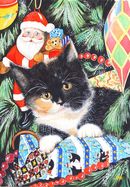 Black and White Christmas Kitten from Tony  Todd