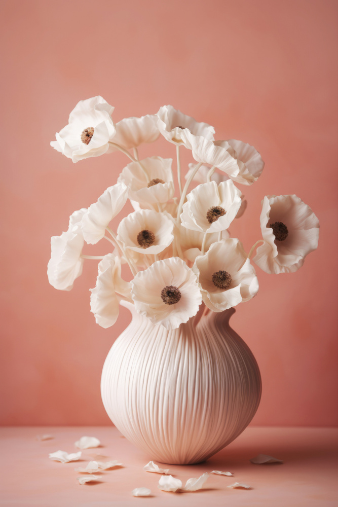 White Poppy On Coral Background from Treechild