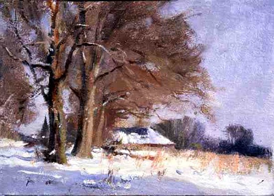Limes in the Snow (oil on canvas)  from Trevor  Chamberlain