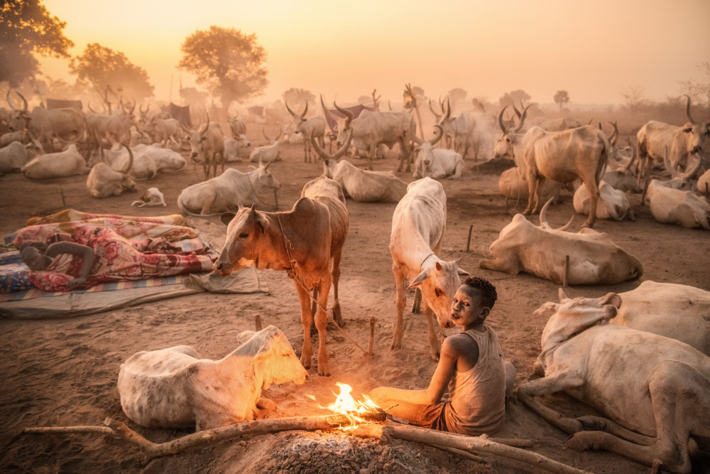 A young Mundari herder at work from Trevor Cole