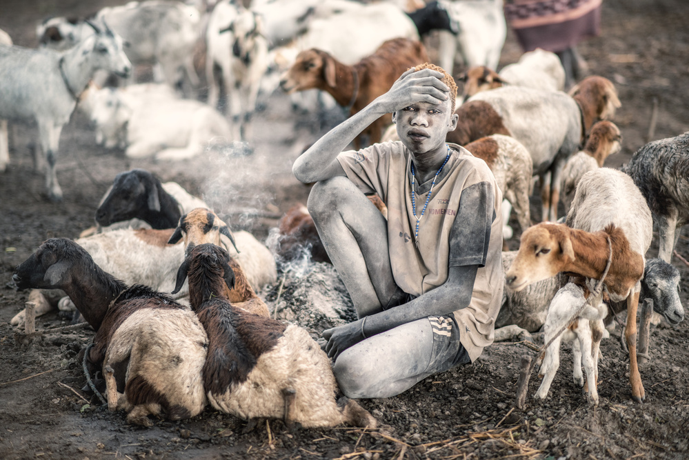Mundari Shepherding from Trevor Cole