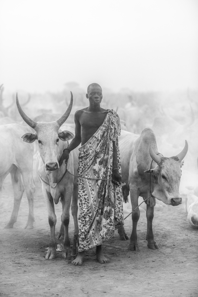 Mundari cattle herder from Trevor Cole