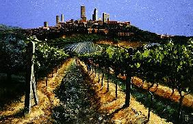 Grape Vines, San Gimignano, Tuscany, 1998 (oil on canvas) 