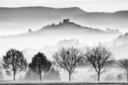 Landscape Silhouettes