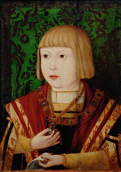Emperor Ferdinand I (1503-1564) at the age of ten or twelve years from Unbekannter Künstler