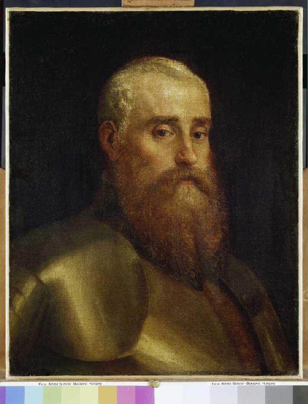 Portrait of the Agostino Barbarigo. from Veronese, Paolo (aka Paolo Caliari)