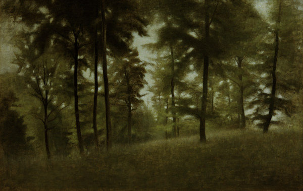 Young Beech Forest from Vilhelm Hammershoi