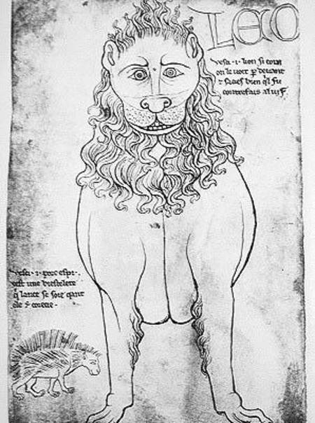 Ms Fr 19093 fol.24v Lion and Porcupine (pen & ink on paper) (facsimile) from Villard  de Honnecourt