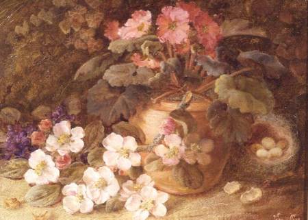 Still Life with Apple Blossom, Primula and Bird's Nest from Vincent Clare