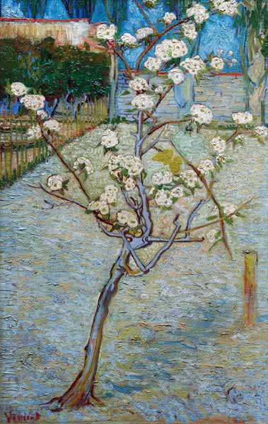van Gogh/Blossoming pear tree/April 1888 from Vincent van Gogh