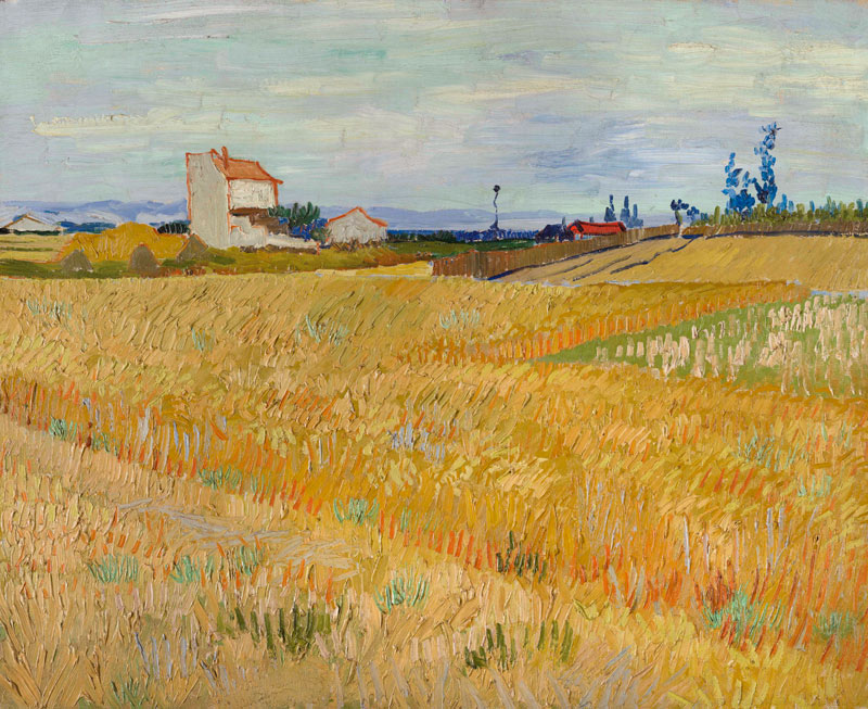 Van Gogh / Cornfield / c.1888 from Vincent van Gogh