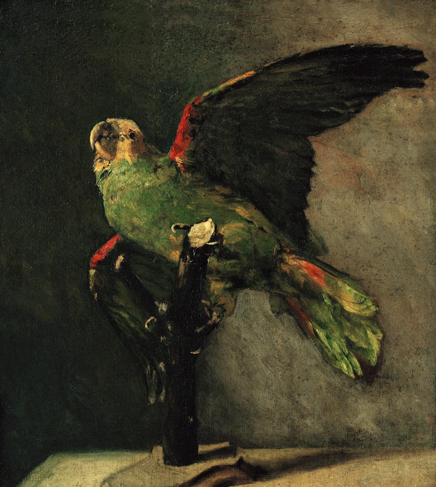 Der grüne Papagei from Vincent van Gogh