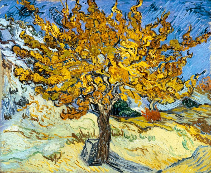 Mulberry Tree from Vincent van Gogh