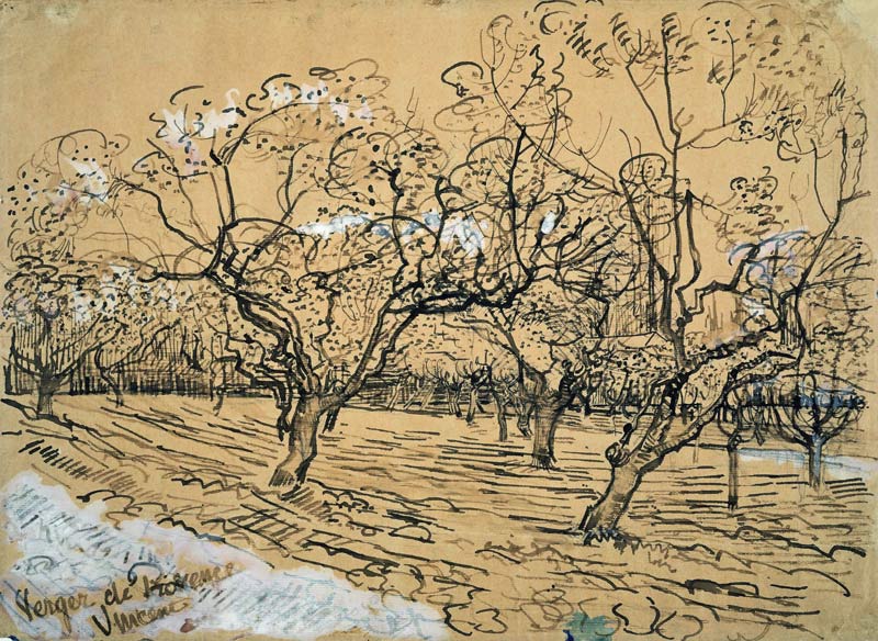 V.van Gogh, Orchard / Drawing / 1888 from Vincent van Gogh
