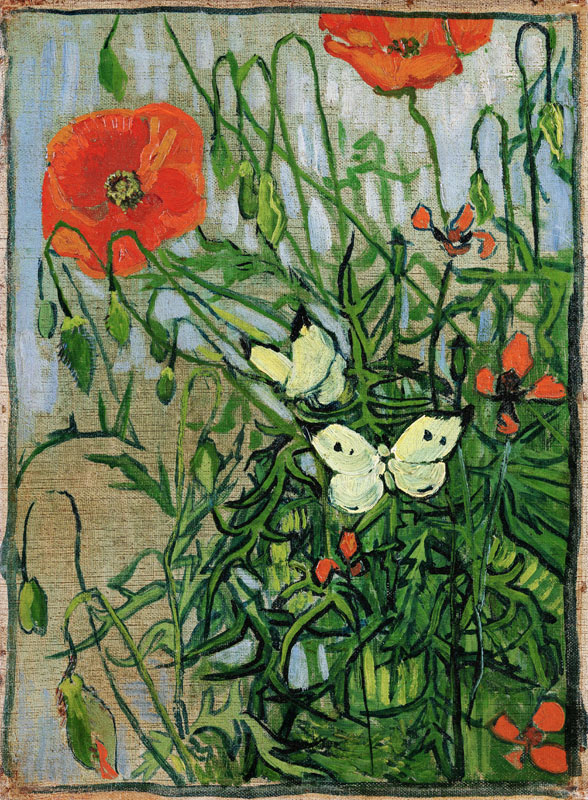 Butterflies and poppies from Vincent van Gogh