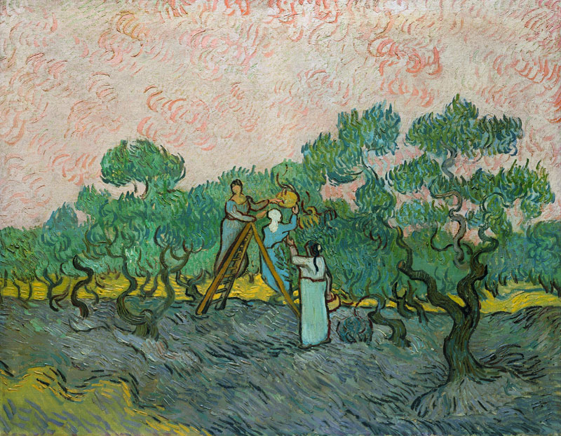 The Olive Pickers, Saint-Remy from Vincent van Gogh