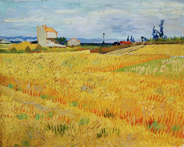 V.v.Gogh, Wheat Field / Paint./ 1888 from Vincent van Gogh