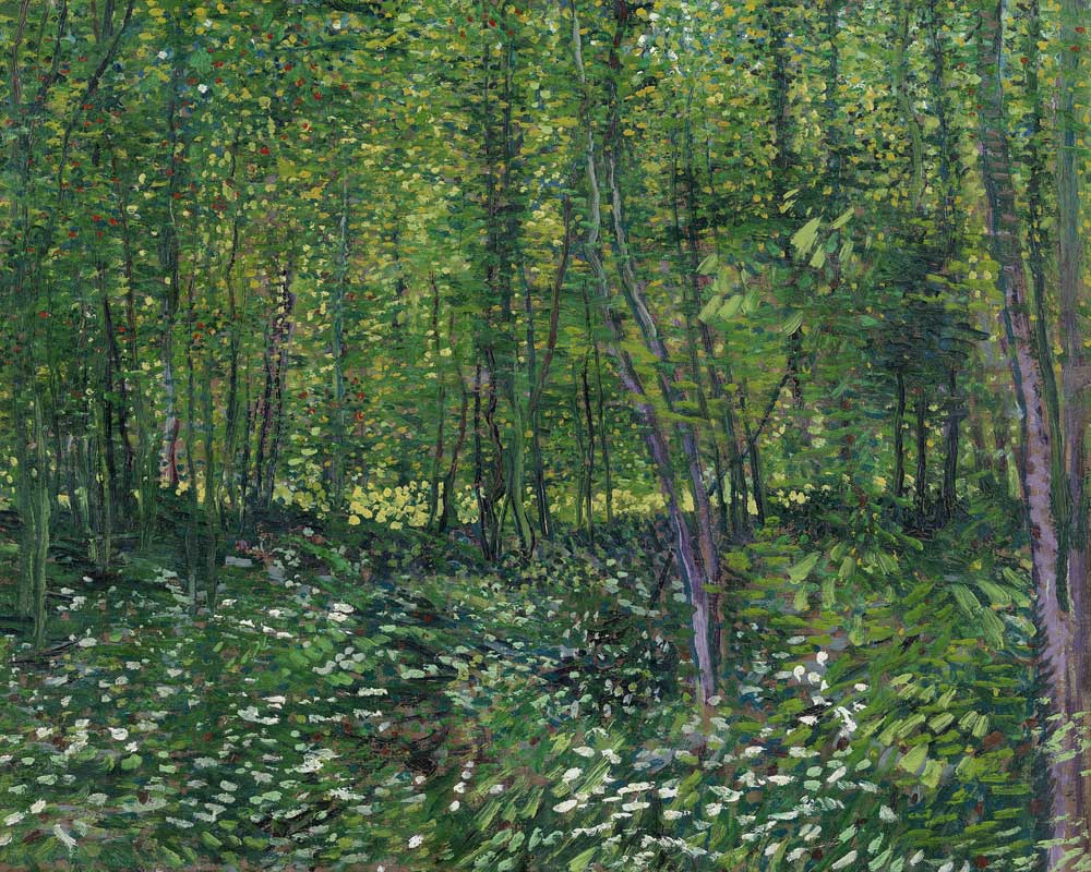 Woods and Undergrowth from Vincent van Gogh