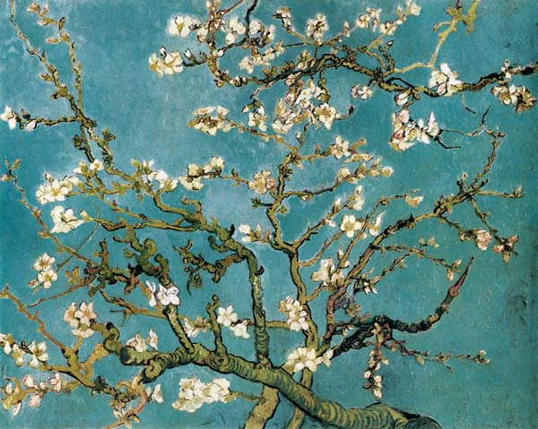 Almond Blossoms from Vincent van Gogh