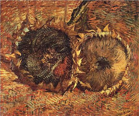 Two Cut Sunflowers from Vincent van Gogh