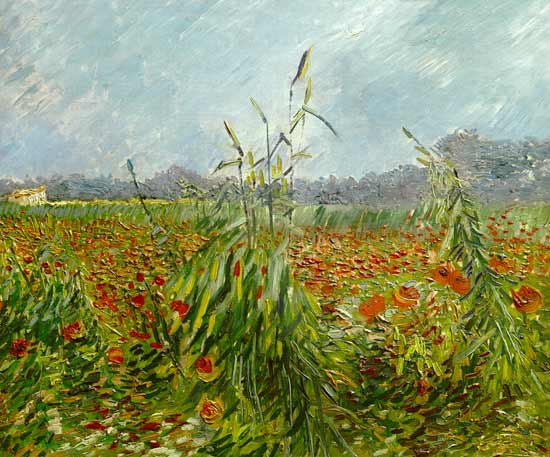 Green Grain Stalks from Vincent van Gogh