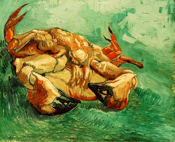 Cancer lying on the back from Vincent van Gogh