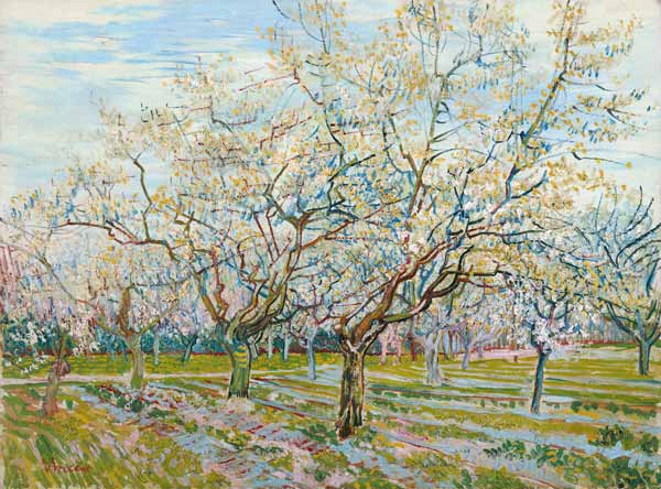 Der weiße Obstgarten from Vincent van Gogh