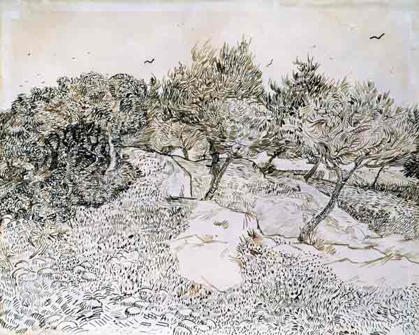 The Olive Trees (pen & ink on paper) from Vincent van Gogh