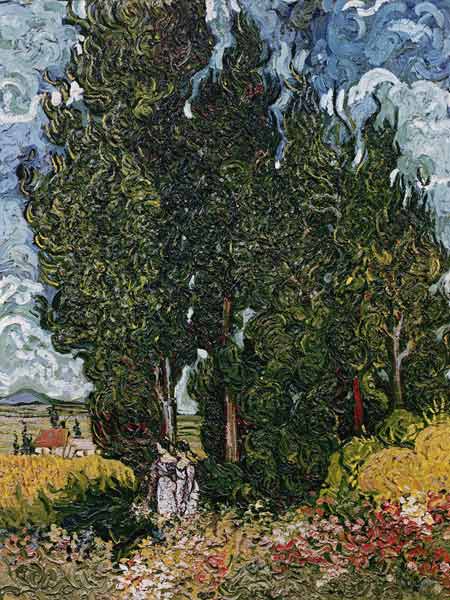 The cypresses, c.1889-90 from Vincent van Gogh