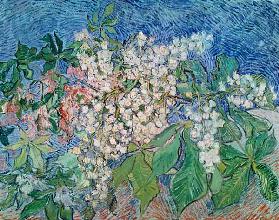 van Gogh / Blossoming Chestnut Branches