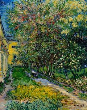 Van Gogh / St.-Rémy Hospital Garden