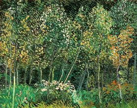van Gogh / Small forest / July 1890