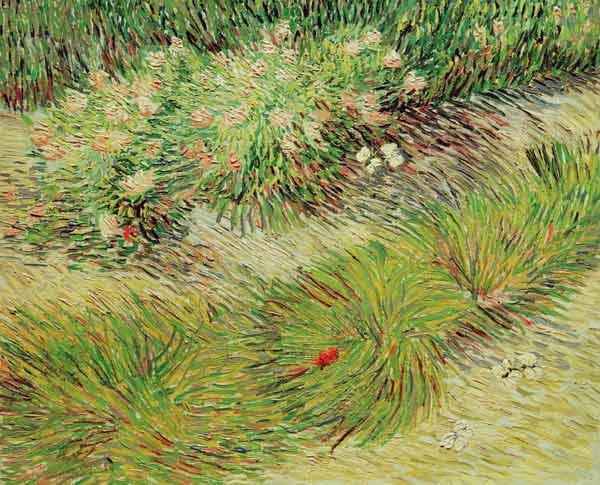 Van Gogh / Butterflies and Flowers