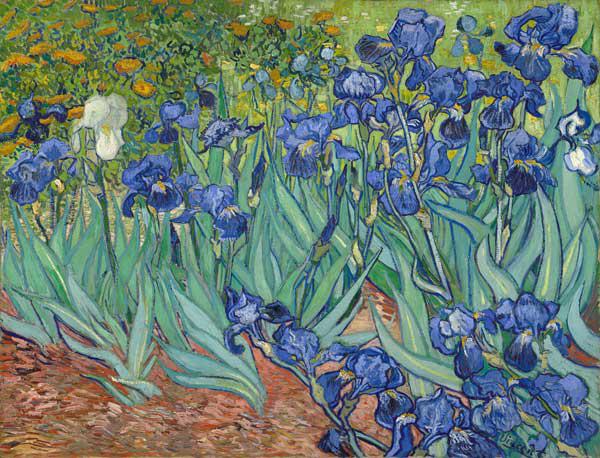 Irises - Vincent van Gogh