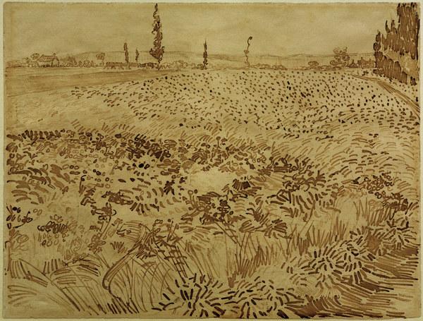 V.v.Gogh, Wheat Field / Drawing / 1888 from Vincent van Gogh