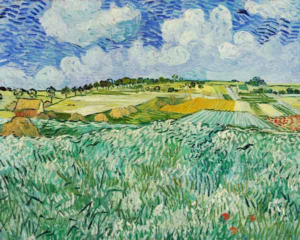 The Plain at Auvers from Vincent van Gogh