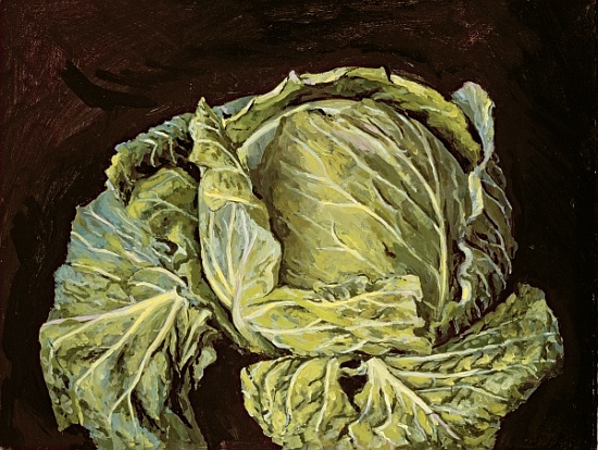 Cabbage Still Life from  Vincent  Yorke