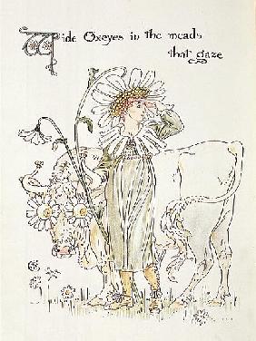 ''Wild Oxeyes in Meads that Gaze'', illustration to ''Flora''s Feast, A Masque of Flowers''