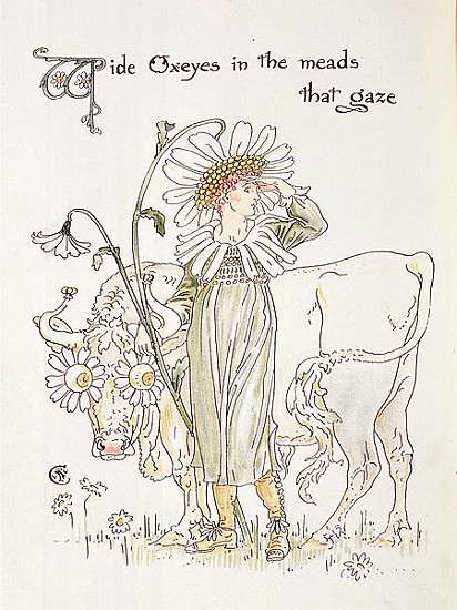 ''Wild Oxeyes in Meads that Gaze'', illustration to ''Flora''s Feast, A Masque of Flowers'' from Walter Crane