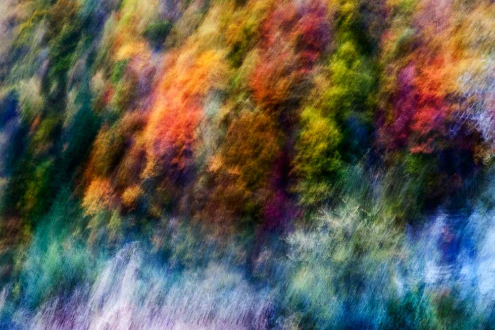 COLORFUL FOREST from Wei He